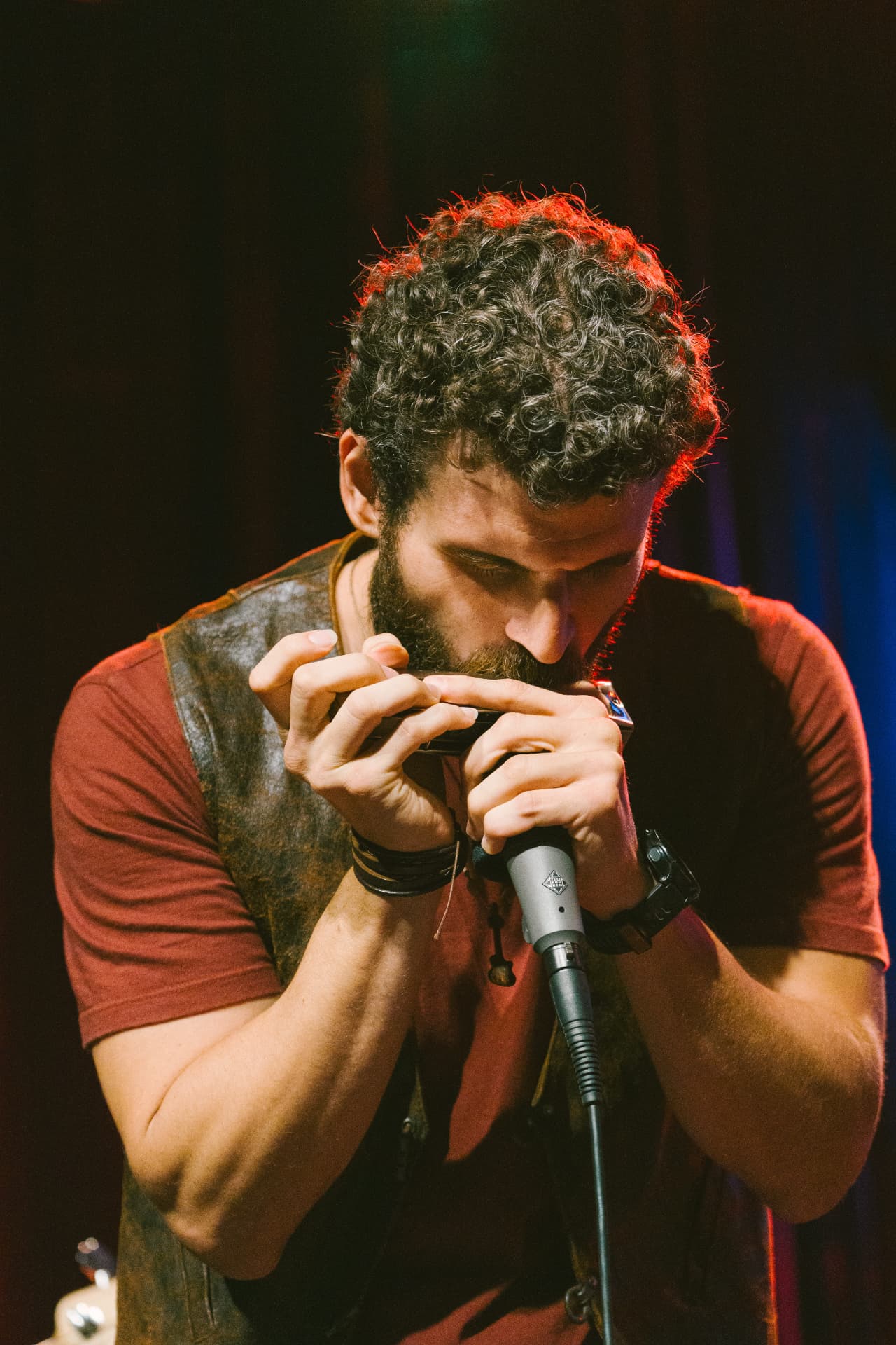 Paulo Lessa tocando gaita ao vivo